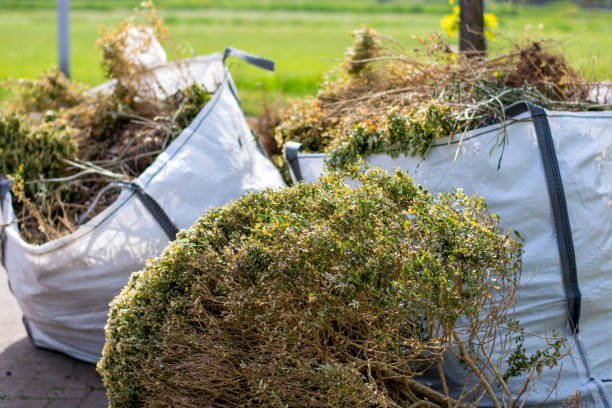 Best Moving and Downsizing Cleanouts  in Moultrie, GA